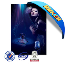 High Quality 3D Lenticular Posters En 3D